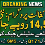 BISP 14500 Payment Status Check