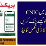 How to Check CNIC Payments in Pakistan
