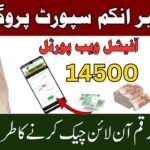 8171 BISP Payment Check Online