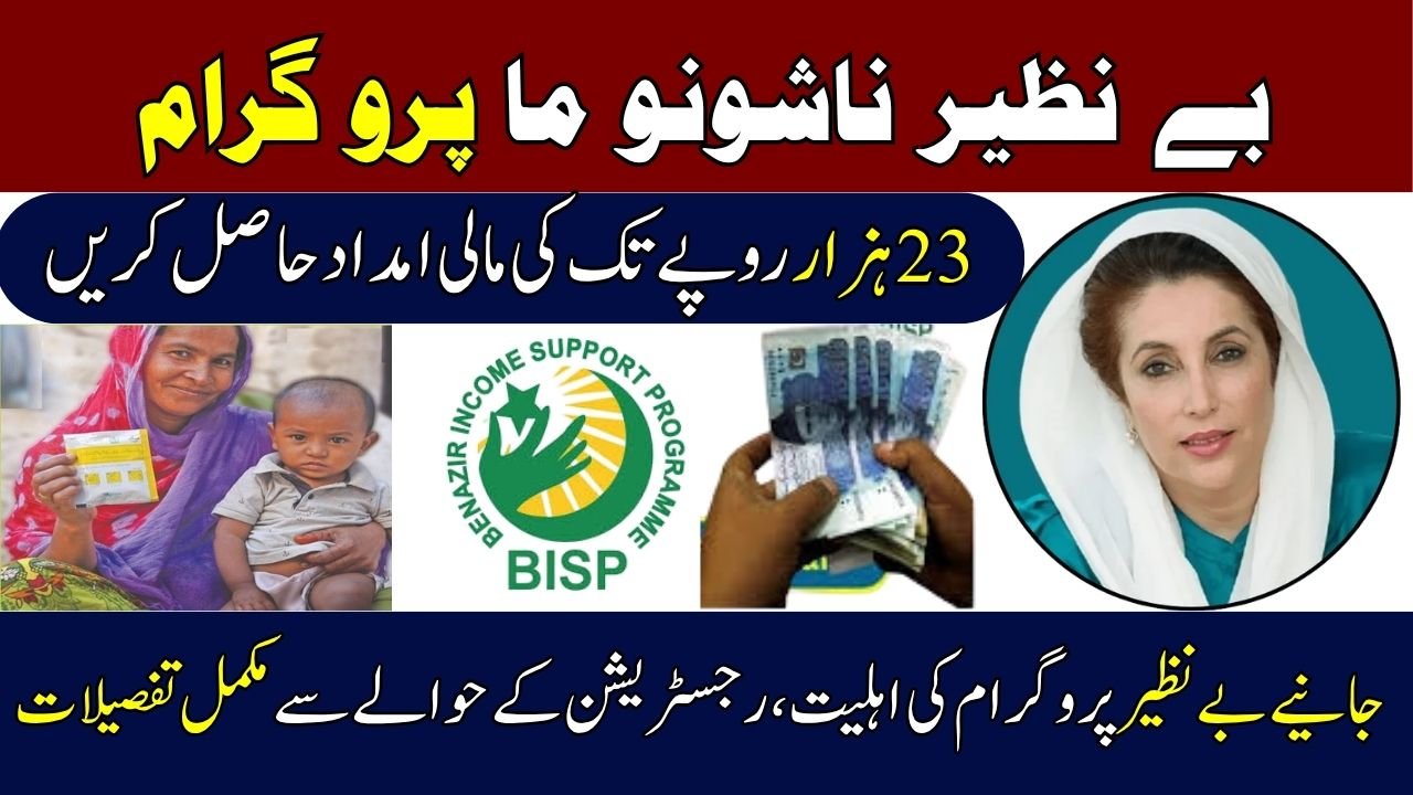 Benazir Nashonuma Programme