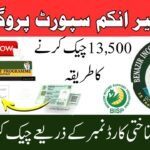 How to Check BISP Payment