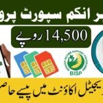 BISP Mobile Wallet SIM